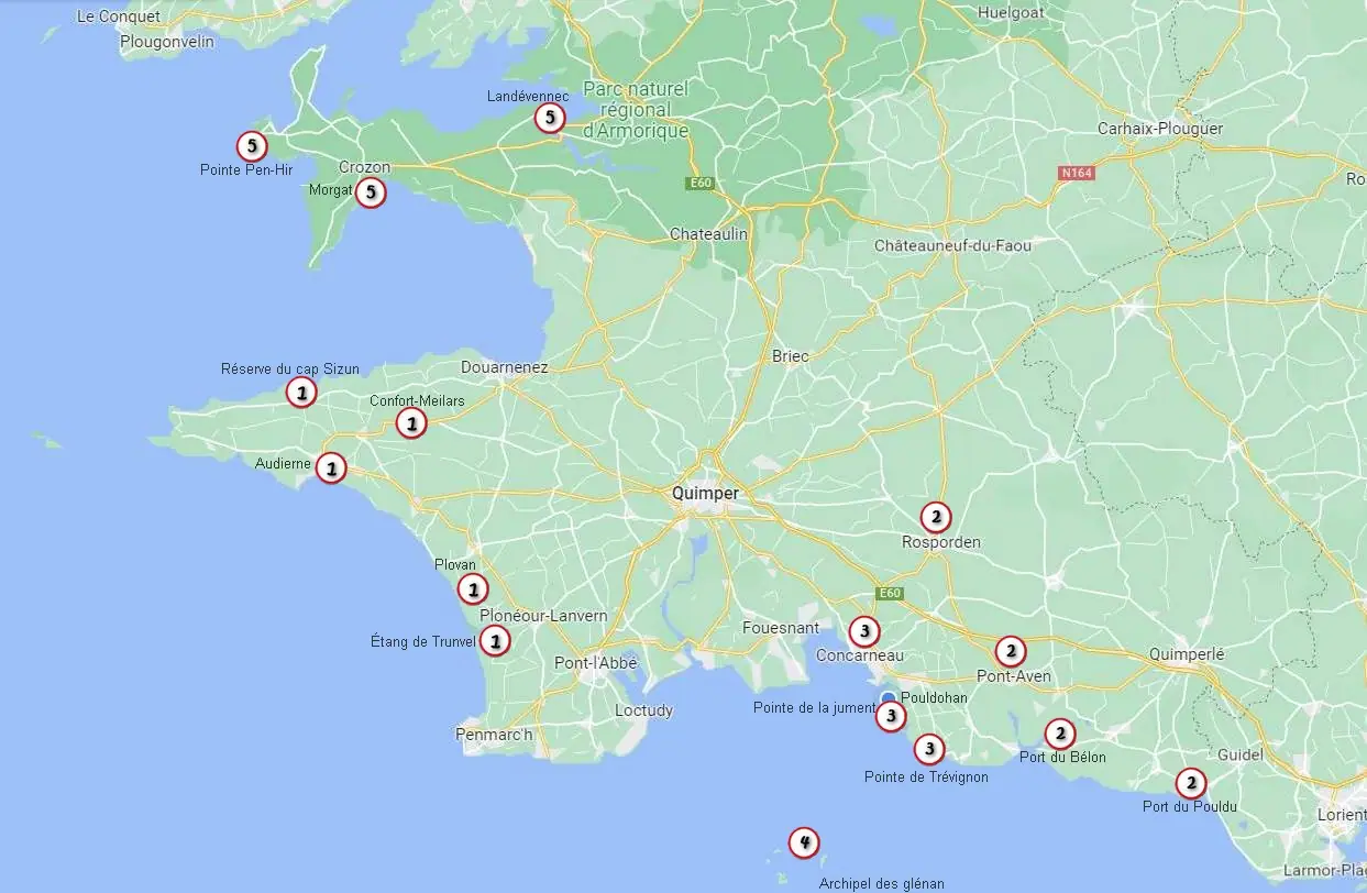 Carte Finale