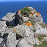 cap Sizun : granit coloré