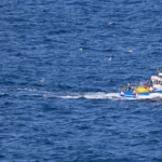 cap Sizun : un bateau de pêche aiguise l'appétit des oiseaux marins le poursuivant.