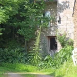Port du Bélon : Nichoir accroché à une maison dans un cadre boisé