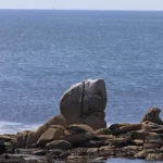 Gros rocher surplombé de guano