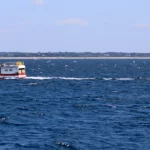 Bateau de pêche poursuivi par des goélands