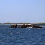 L'île est très plate et les arbres rares.