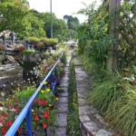 Fleurs le long de l'Aven