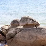 rocher érodé sur la plage