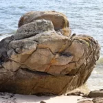 rocher érodé sur la plage